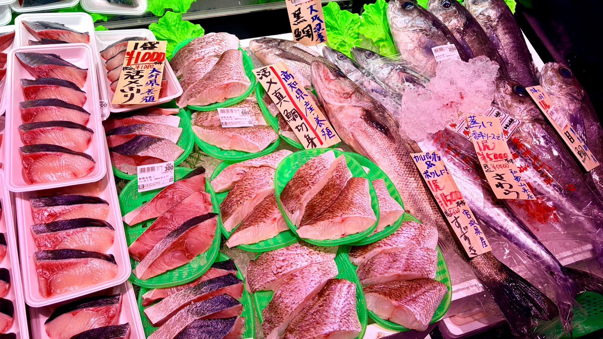 ベルク有明、初訪問！！ どのエリアも脳汁出まくる最高の