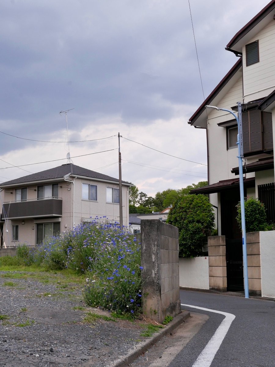 淳ぽ tweet media
