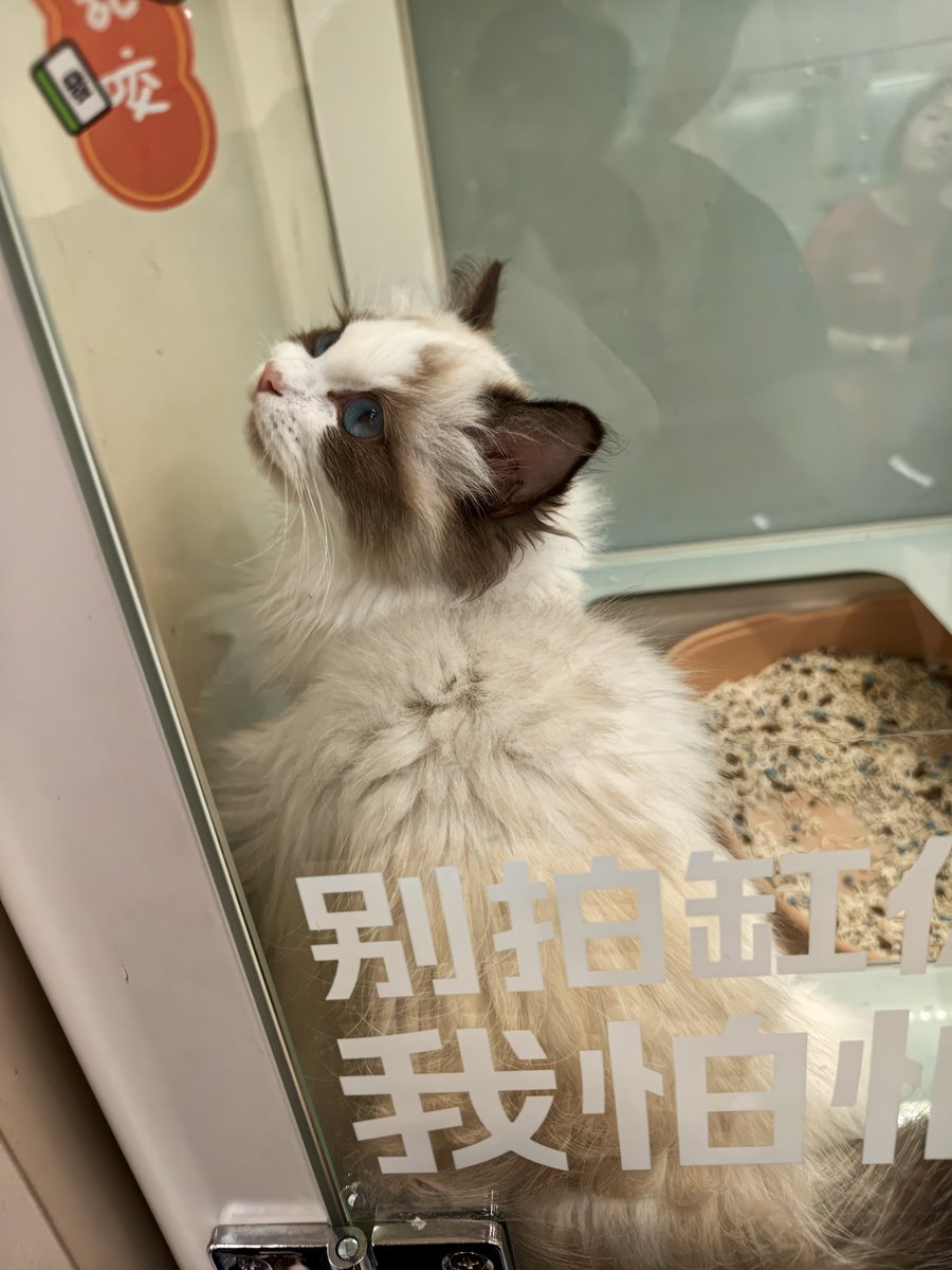 吃喝玩乐睡大觉 tweet media