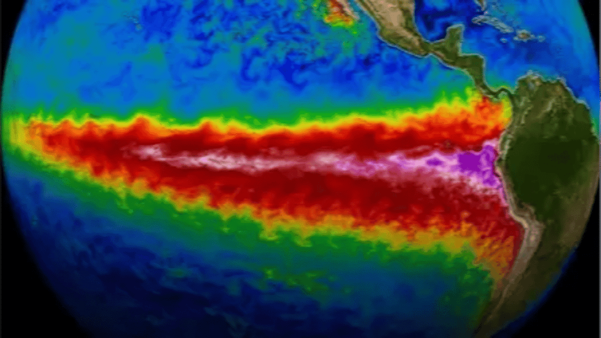 ladbible's tweet photo. 'Super El Nino' with predicted devastating global consequences could arrive sooner than expected https://t.co/2sgOGGVqdw https://t.co/r1THfBcAzi