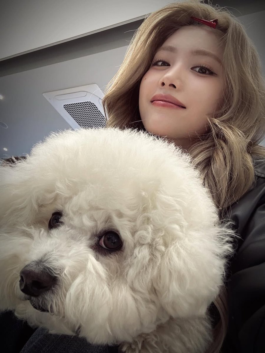 savvturrn's tweet photo. ️️
Hari ini bertemu banyak makhluk-makhluk lucu yang gembul :3

Ponyo, kamu jangan cemburu ya. Ponyo tetap numero uno di hati Sophia🤍☝🏻
️️ https://t.co/lw1TfjHSGV