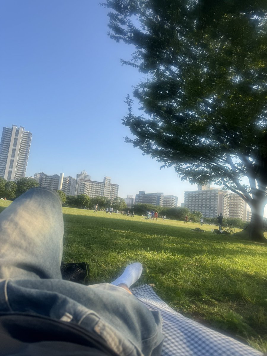 G__M__F's tweet photo. 1枚目のスポット:
水面とか高速の車とか眺めてチルしてたらスニーカーをフナムシみたいなのが横断して絶叫し、退散
2枚目のスポット:
レンズ汚れててILLITみたいな写真撮れる〜とかはしゃいだ後木漏れ日で昼寝していたらサッカーボールの直撃で目覚め、気まずさで退散 https://t.co/xXs91YSHVK