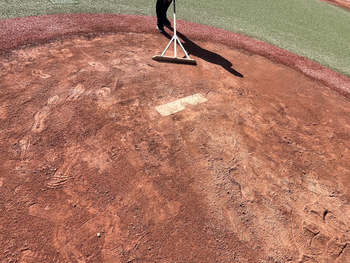 🏟️⚾️YUKI🐟NECO.⚾️🏟️ tweet media