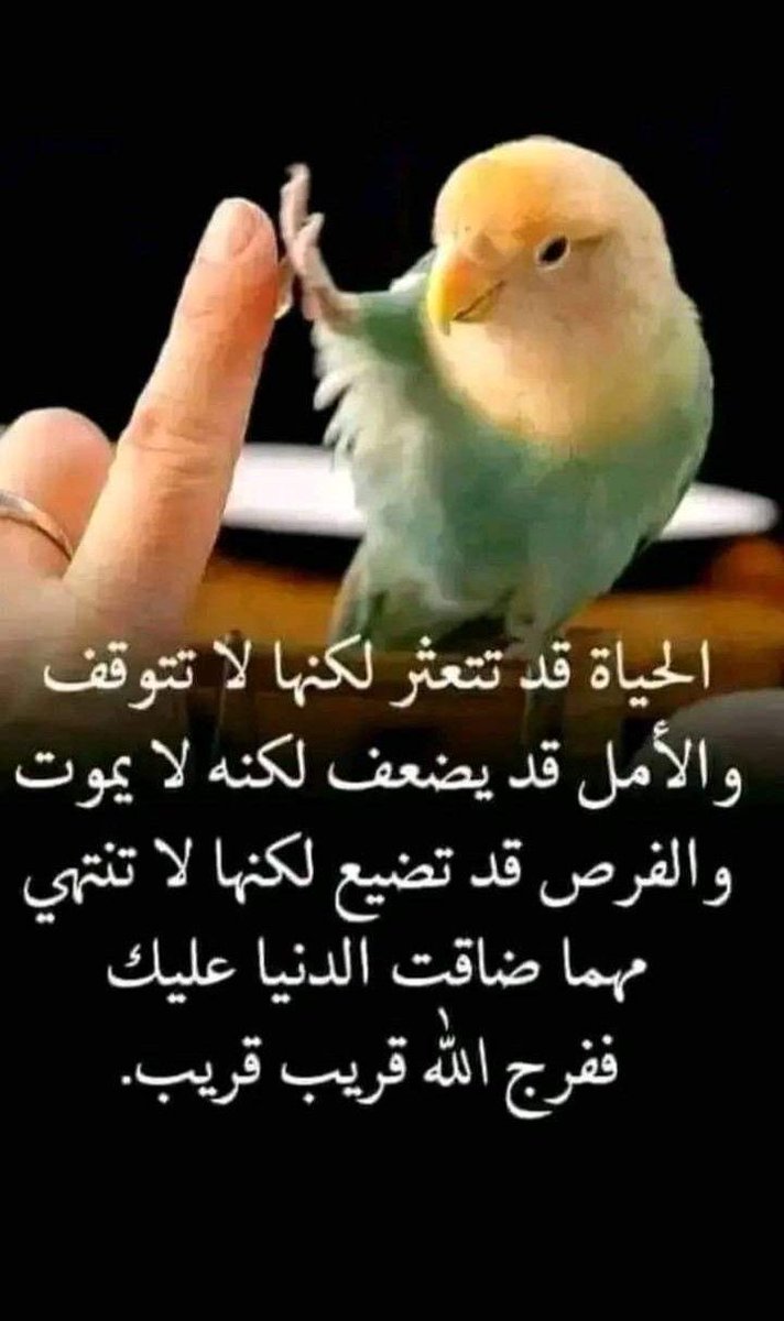 رفيع الشآن tweet media