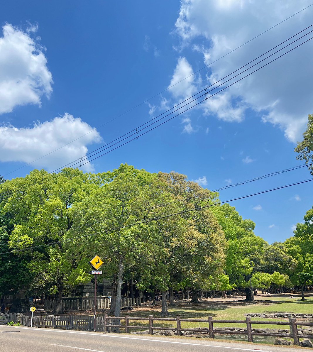 nikkonara's tweet photo. とても良いお天気の土曜日でした

明日の奈良市内も暑いようです
（30度超えの予報が出ています）

暑さ対策をしっかりなさって
お越しください https://t.co/nVyzv7EZl8