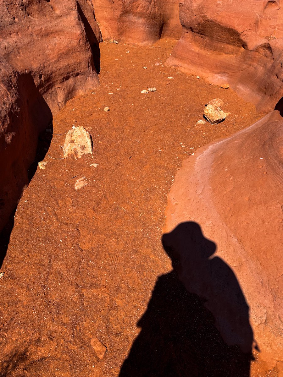 prairieguy2016's tweet photo. Saturday Selfie! Wandering… Channeling my inner Ed &amp; Hayduke…
https://t.co/Fs03XmaudB #photography #nature #wandering #desertsolitaire #utah #desert https://t.co/Afd1xqKdpu