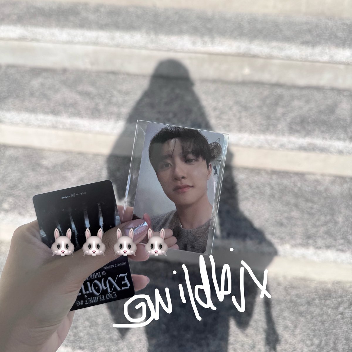 𓆝 tweet media