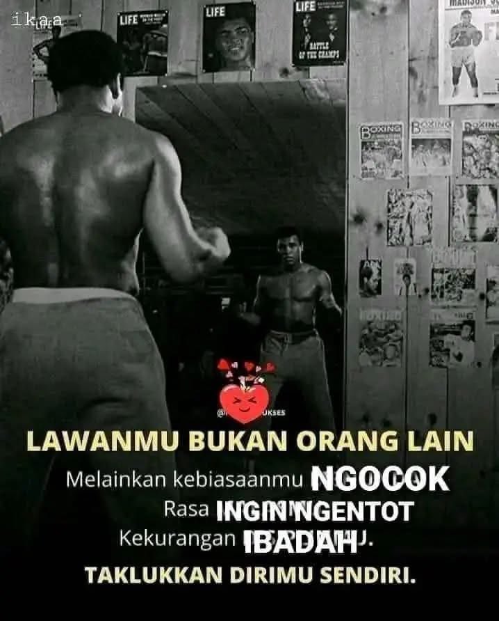 sumadi kaset tweet media