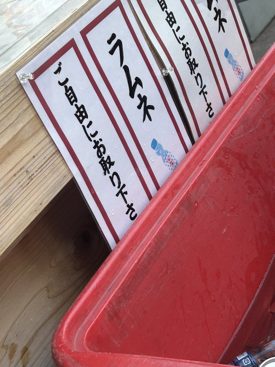 ぬこぬこ tweet media