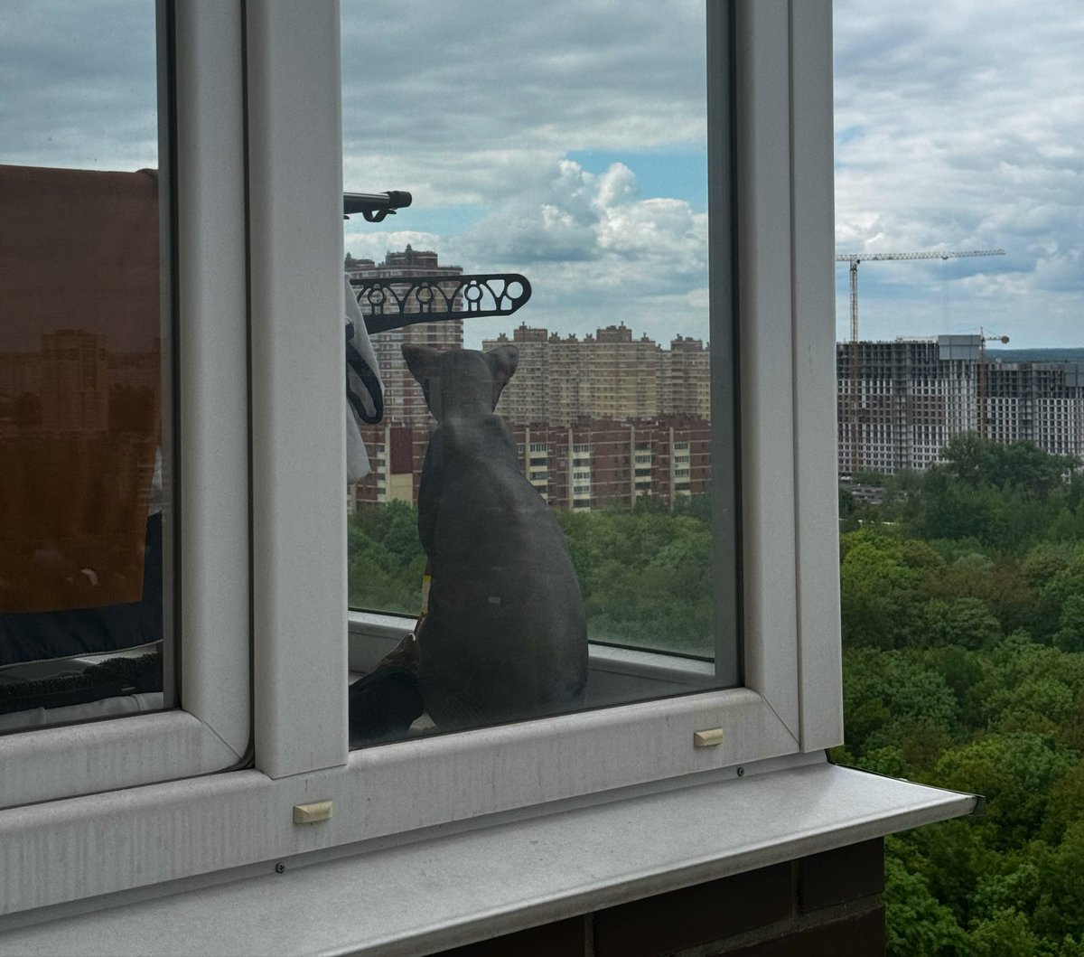 Sir К нига Жалоб tweet media