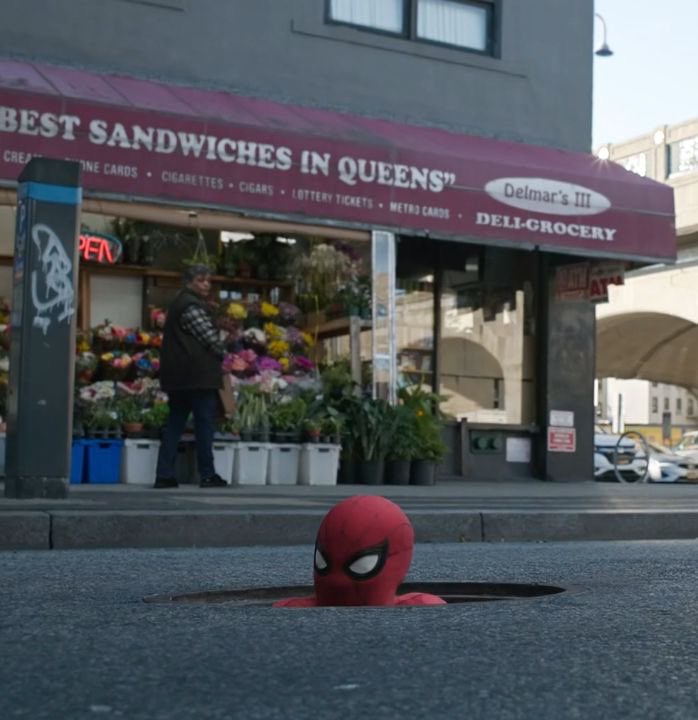 spidey🕸️📈 tweet media