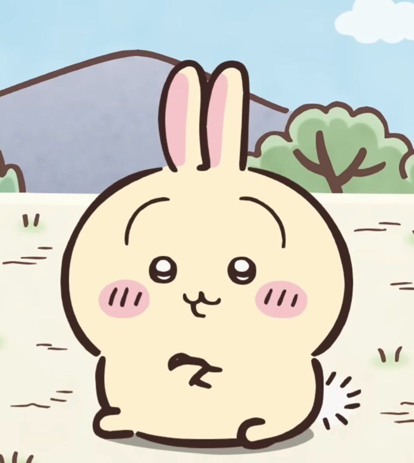 뽀 tweet media