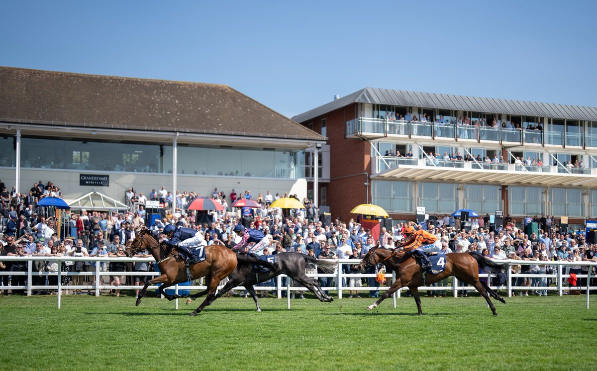 Racing Post Bloodstock tweet media