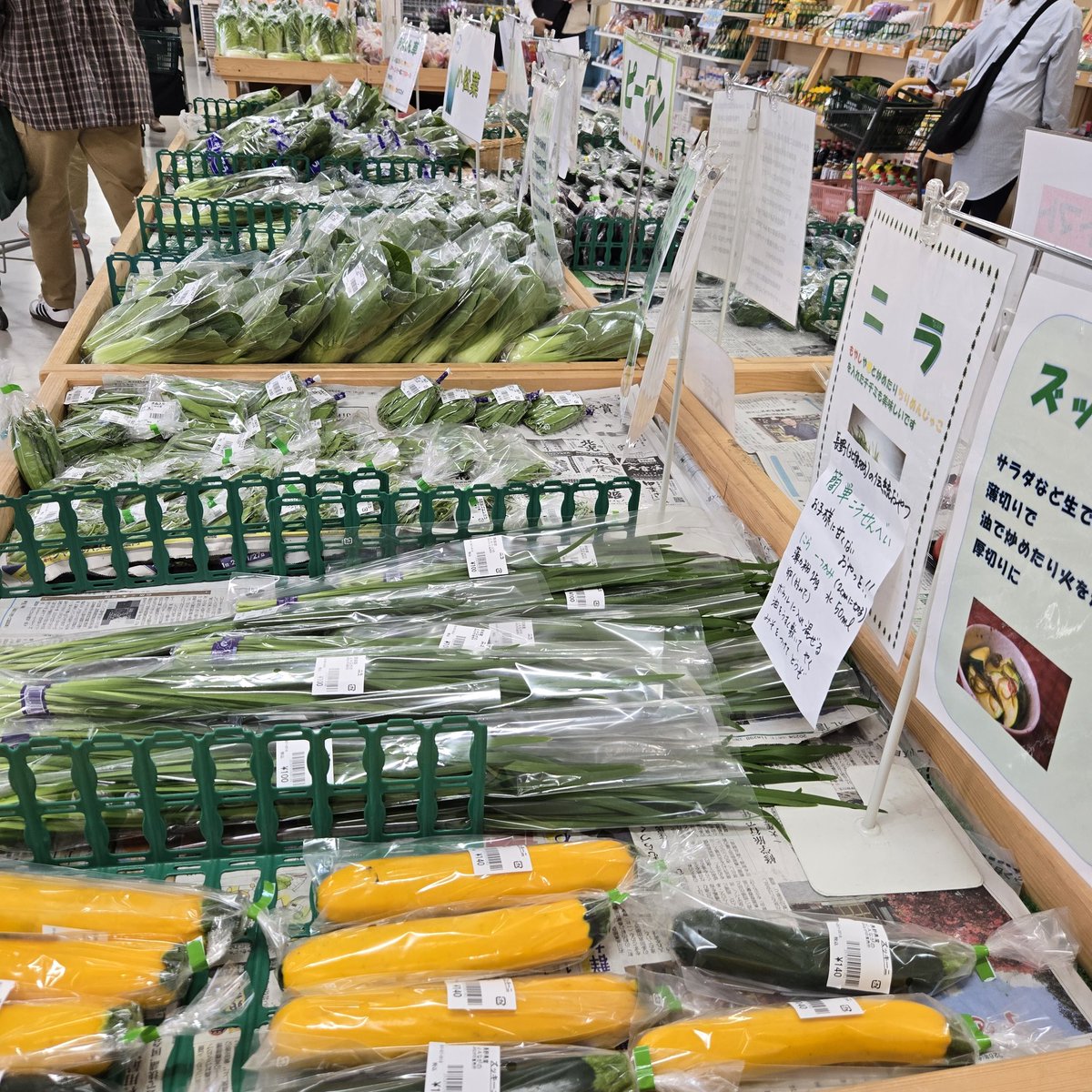 ★信州★ 🌲家庭菜園🌲Q's natural garden🌲 tweet media