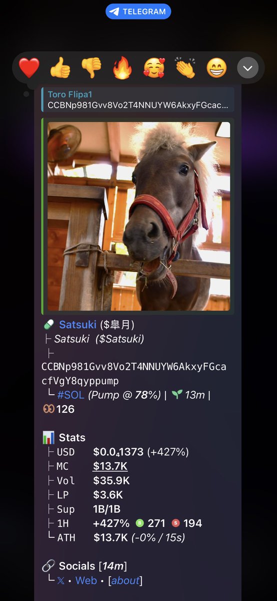 Toro Flipa tweet media