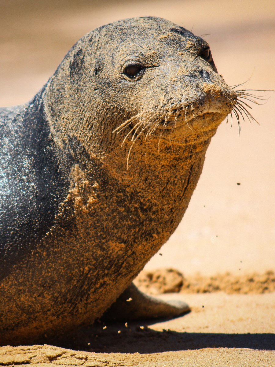PROTECT ALL WILDLIFE tweet media
