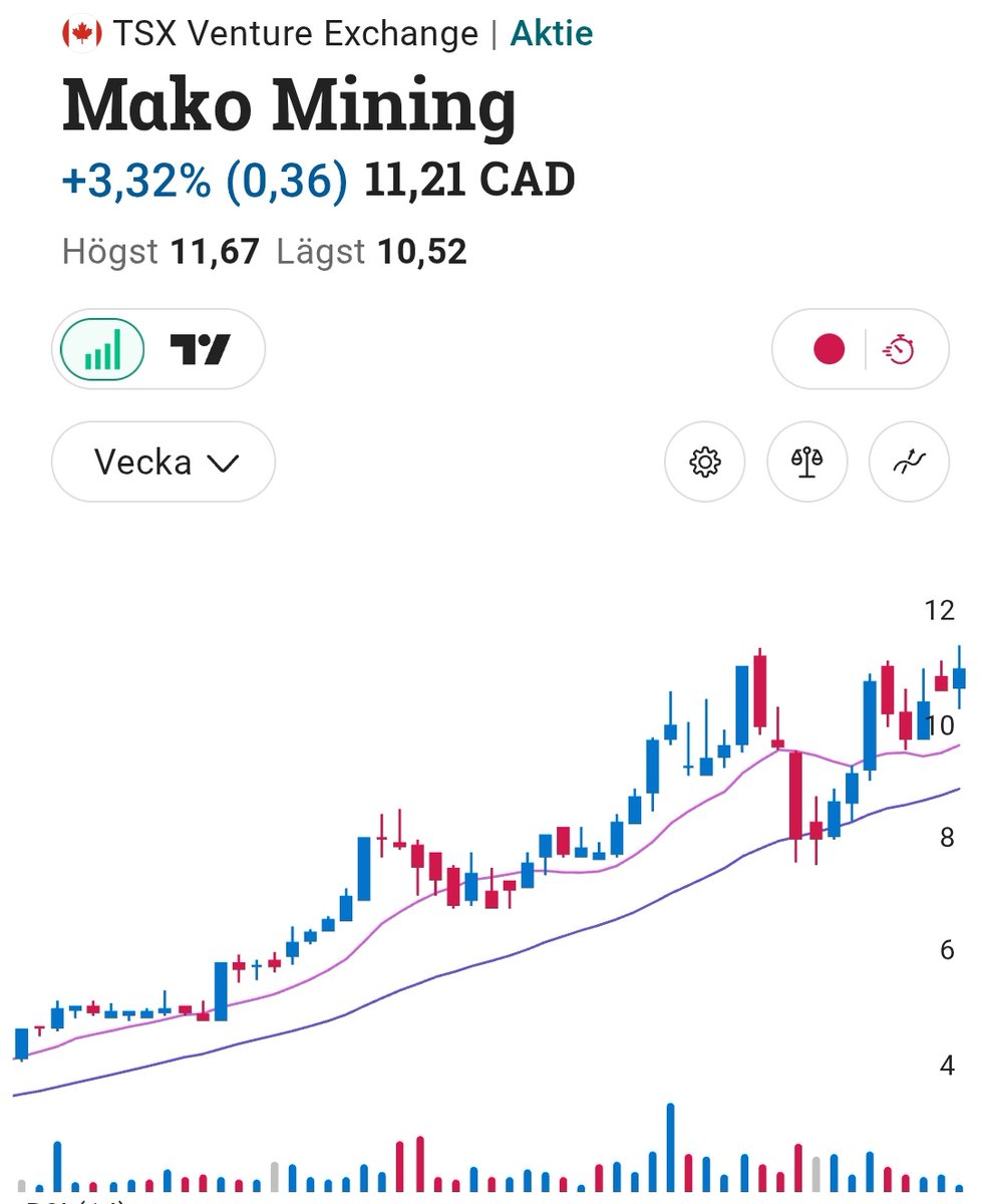 FIAT Bear 🐻🇸🇪 tweet media