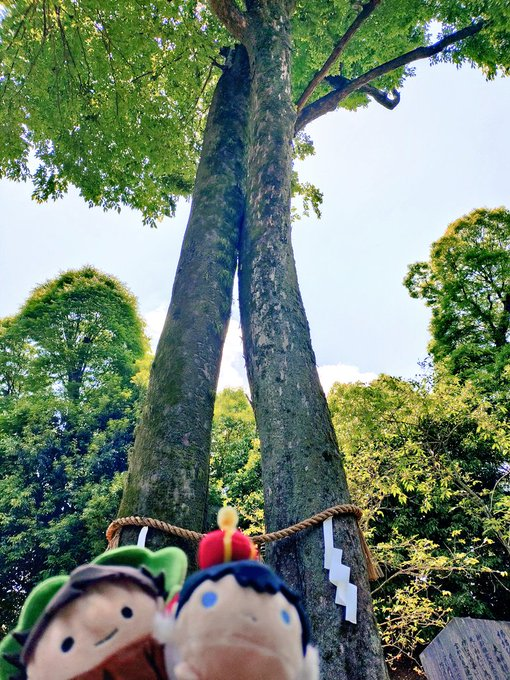 京都のとっさん tweet media