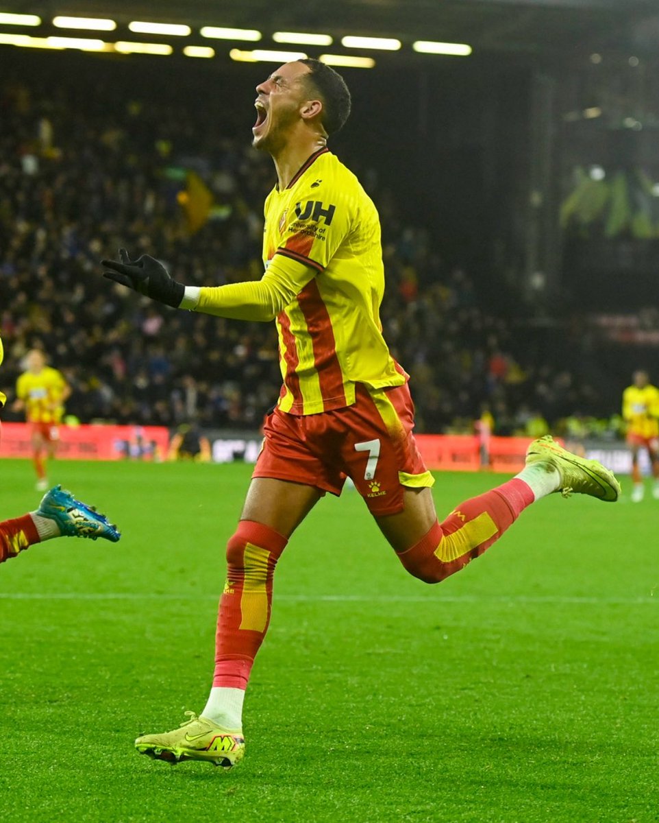 TheWatfordWay tweet media