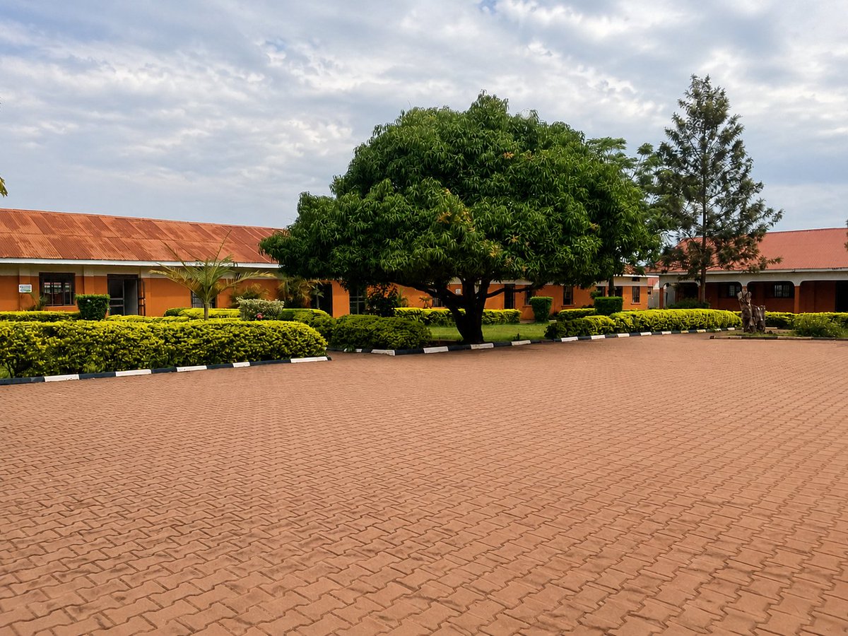 PremierSSHoima's tweet photo. Admissions open for second term intake.
S.1,2,3 and 5 https://t.co/AuSl1cRvga