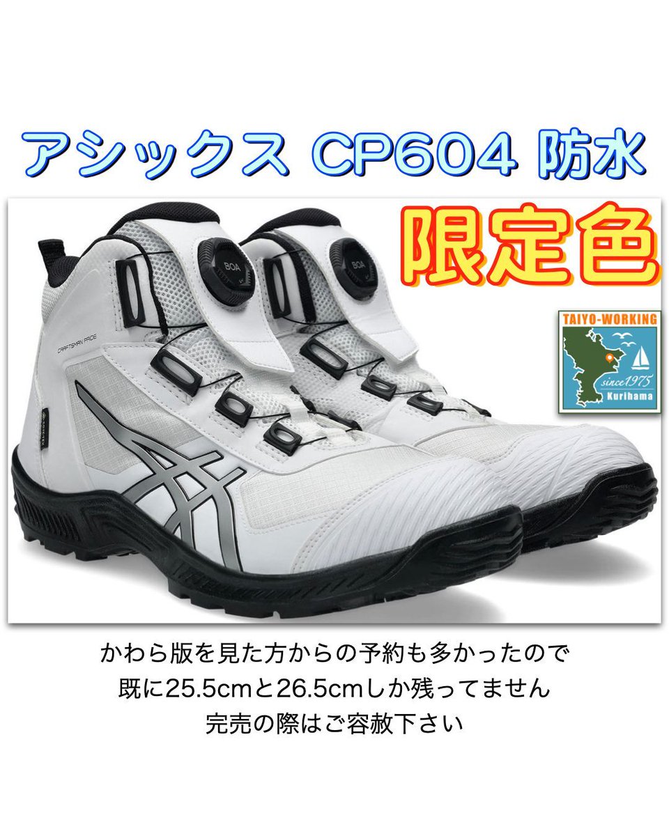安全靴 BoA asics 26cm 新品未使用 安全靴 BoA asics 26cm 新品未使用 【公式通販】