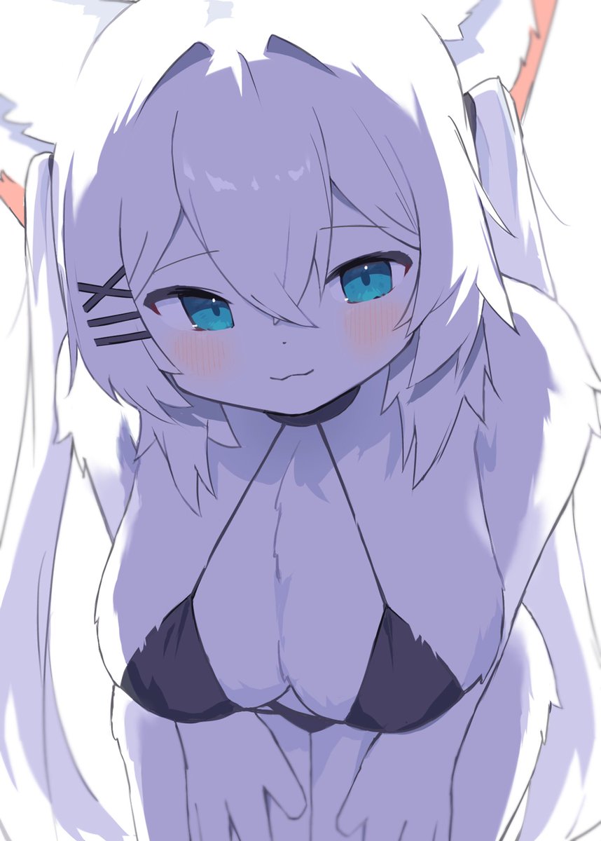 化け猫 tweet media