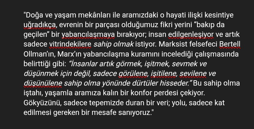 zamanzamannemo tweet media