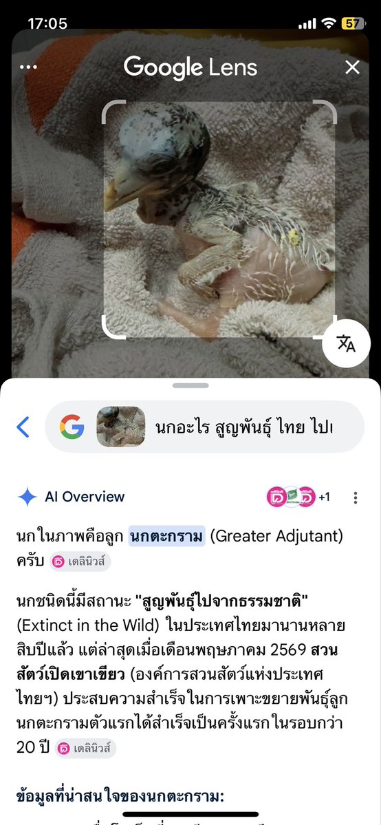 รำคาญร้านอิตาเลี่ยนแถวบ้าน tweet media