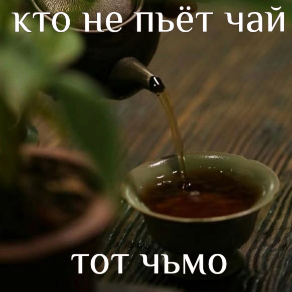 мемы про чай каждый день tweet media