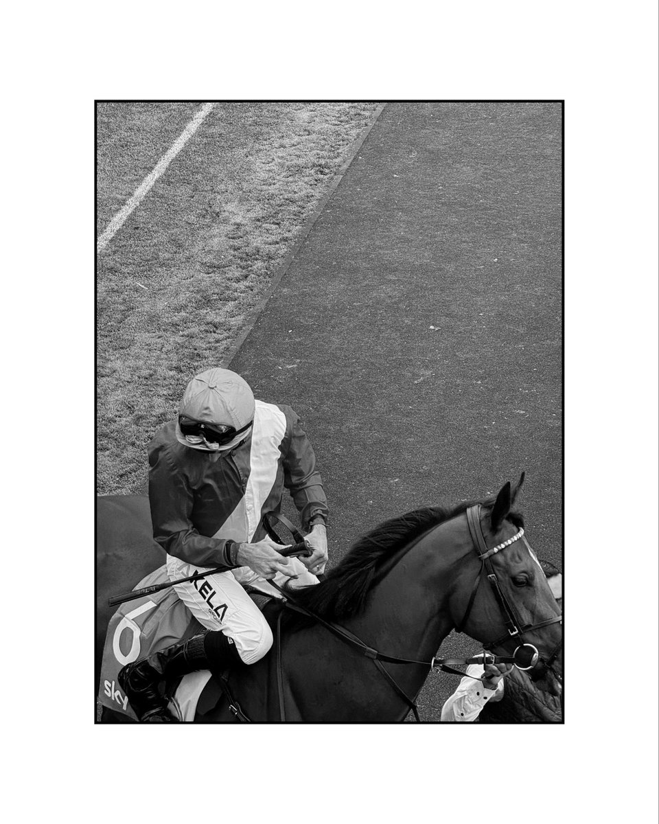 York Racecourse tweet media
