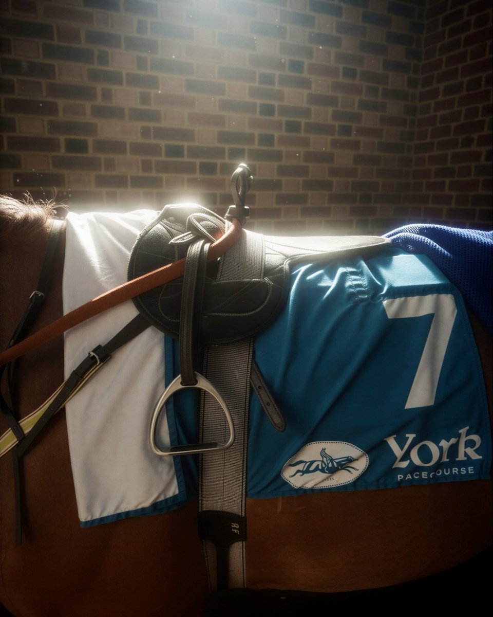 York Racecourse tweet media