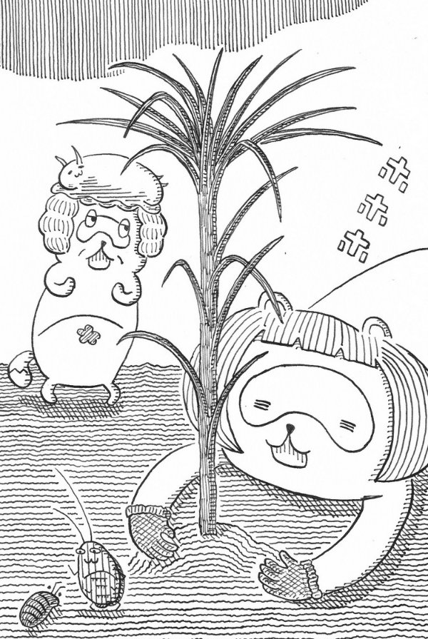 たぬ屋 tweet media