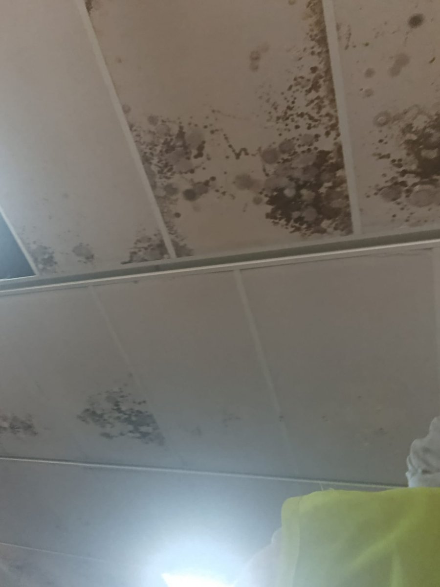 pensendeyiz's tweet photo. İmtek Firması Sazlı Bosna TOKİ 12. Bölge 2. Etap’ta çalışan inşaat işçileri, şirket yemekhanesinde çıkan sağlıksız, pis ve kötü yemekler için eylem yaptı. 

İşçiler yemeklerin hep sağlıksız ve kötü olduğunu ancak son süreçte yemeklerin daha da kötüleştiğini aktarırken; duruma çözüm bulunmasını talep ediyor. 

İşçilerin Dayanışma Ağımıza ilettiği fotoğraf ve videolarda; yemek yenilen yemekhane alanının ve yemeklerin pişirildiği alanın ne durumda olduğu açıkça görülüyor.

İnşaat işçileri, rutubetli, pis, sağlıksız koşullarda pişirilen kötü yemekleri hak etmiyor. 

İmtek Firması derhal yemekhane koşullarını düzeltmeli; inşaat işçilerine, hakkı olan sağlıklı ve temiz yemek vermelidir.

İşçilerin taleplerinin ve gelişmelerin takipçisi olacağız.