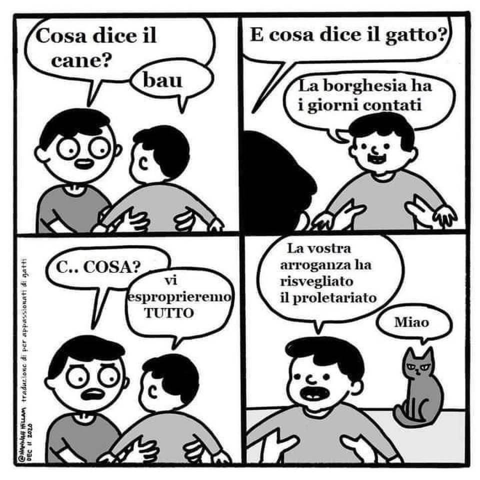 Donna Malizia tweet media