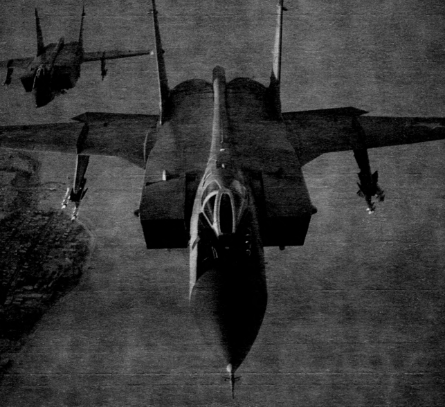 Pinat TC-JBM tweet media
