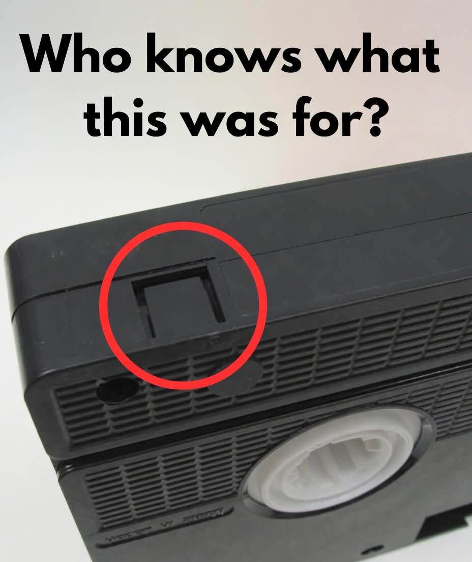 80s Kidz tweet media
