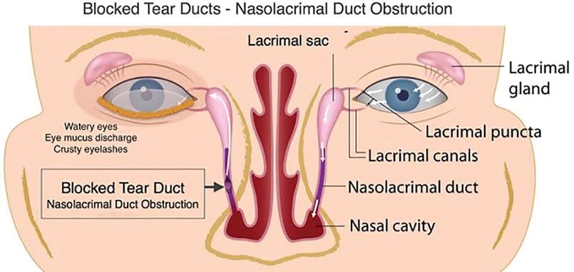 datameanstruth's tweet photo. @san86jog @GulteOfficial Yes there is very less you learn in those 5 years hence you have specializations upon specializations in the medical field and expertise is valued for those learnings which are not even found in books. https://t.co/R96XzAgiut
