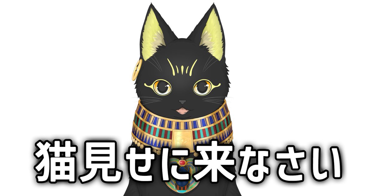 𝔸𝕚𝕟𝕪𝕒 𝕋𝕖𝕥𝕠 /•᷅‎‎•᷄\୭ @バステト猫VTuber tweet media
