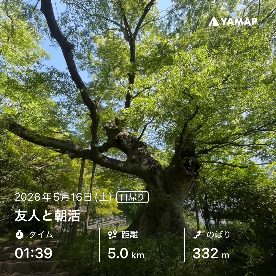 オサムス tweet media