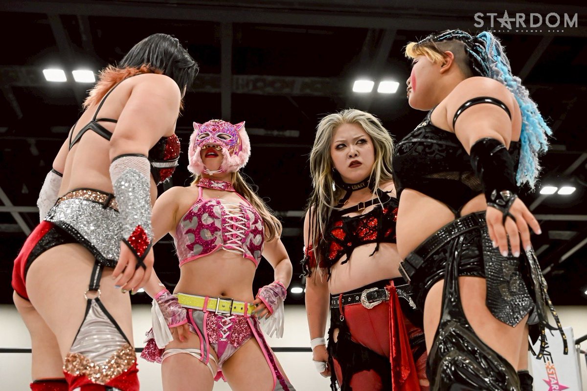 スターダム💙スターライト・キッド🐯🤍 (@StarLight_Kid11) / Posts / X