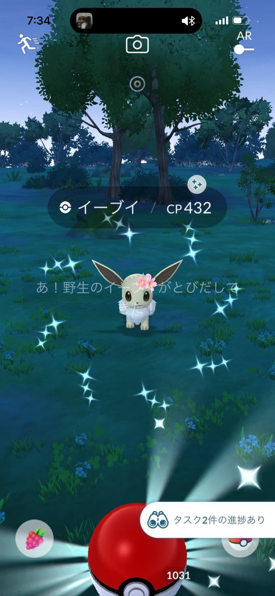 _KOOKBTS15's tweet photo. 今週残業がんばったご褒美かな😭💖

#色違い
#ポケモンGO
#PokemonGO https://t.co/p2YNB7n866