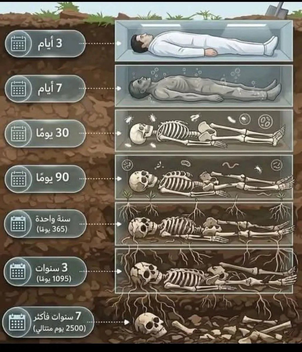صبر tweet media