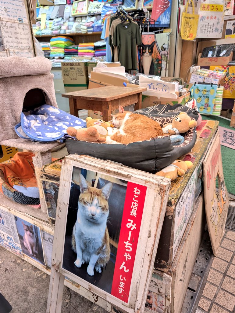 みそぢる tweet media