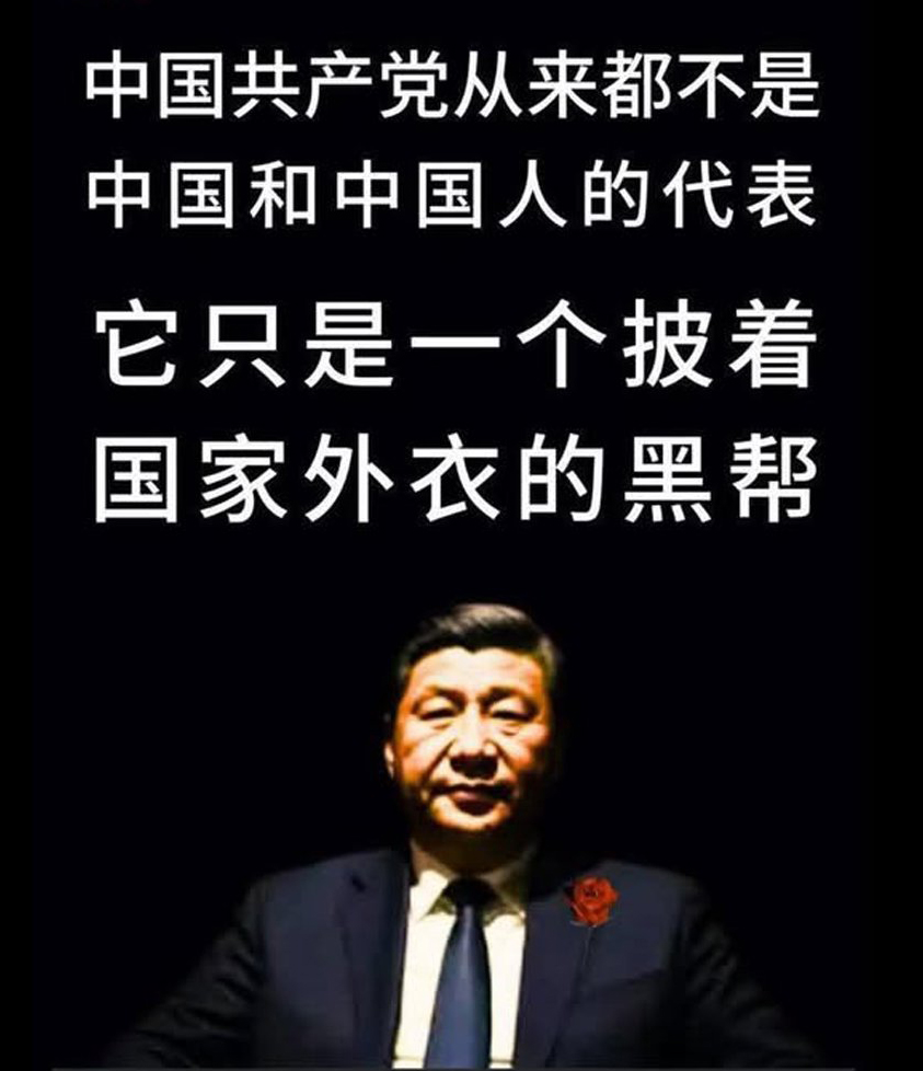 彭硕 SHUO PENG tweet media