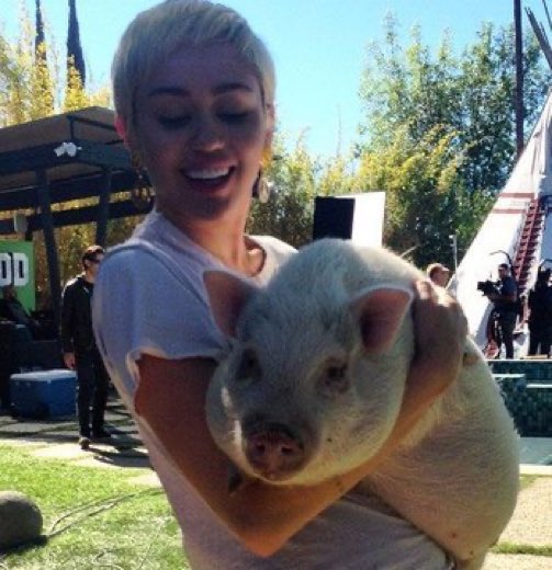 Mileyola tweet media