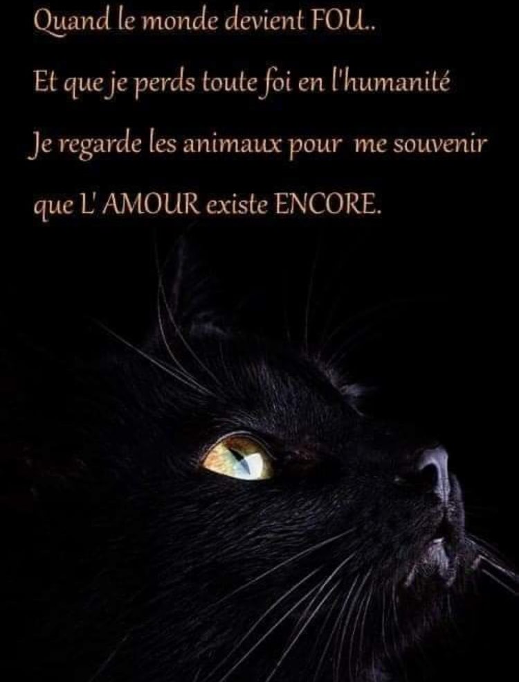 😈 PAT 66 👿 NO DM & LIST tweet media