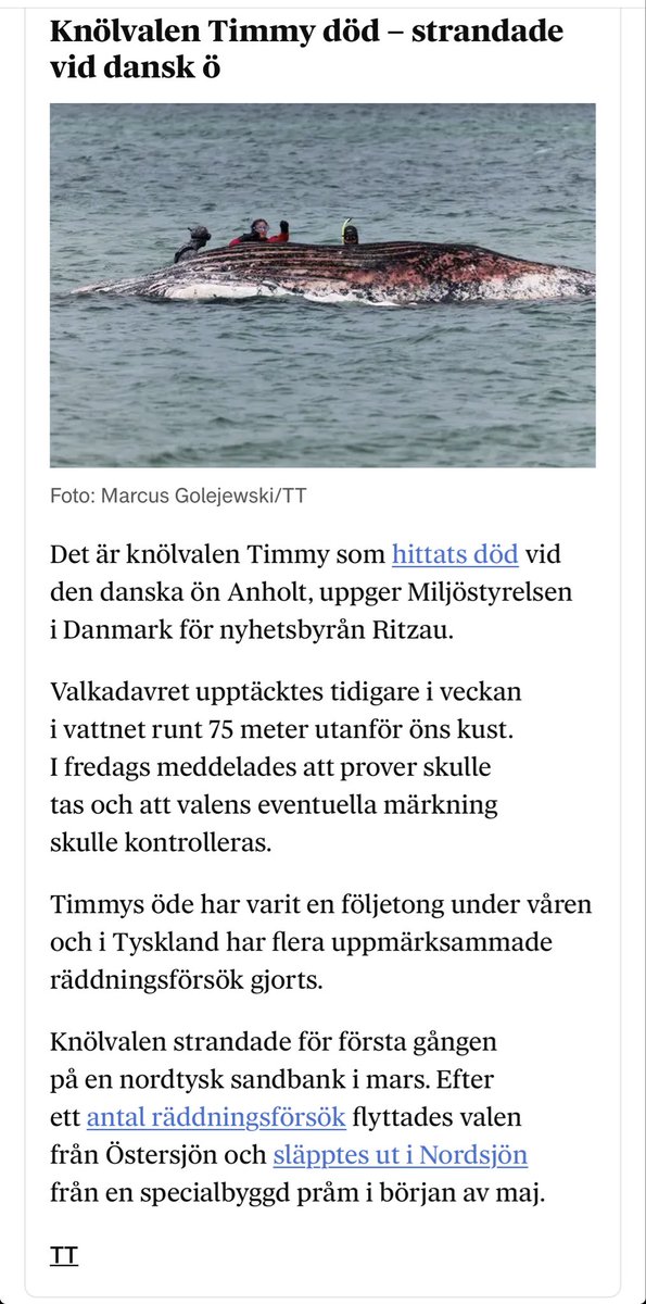 tillsvidare tweet media
