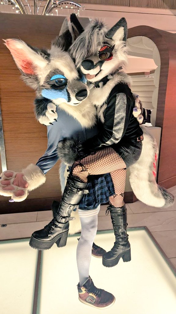 ShadowFox tweet media