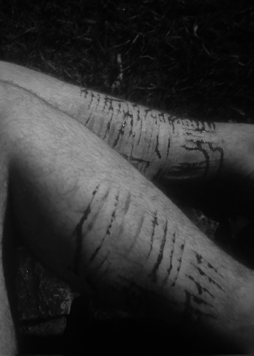 Cazimír | it/hym | shedtwt tweet media