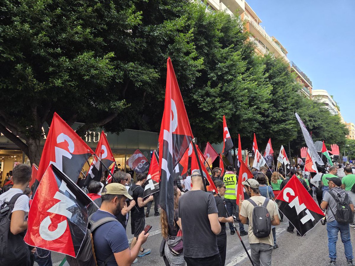CNT Comarques Centrals tweet media